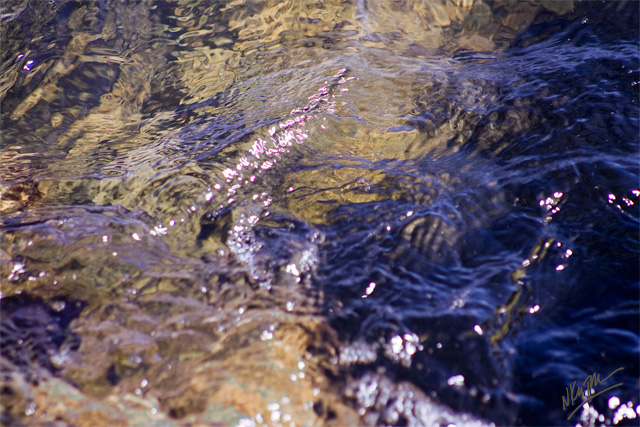 Water surface violet and brown